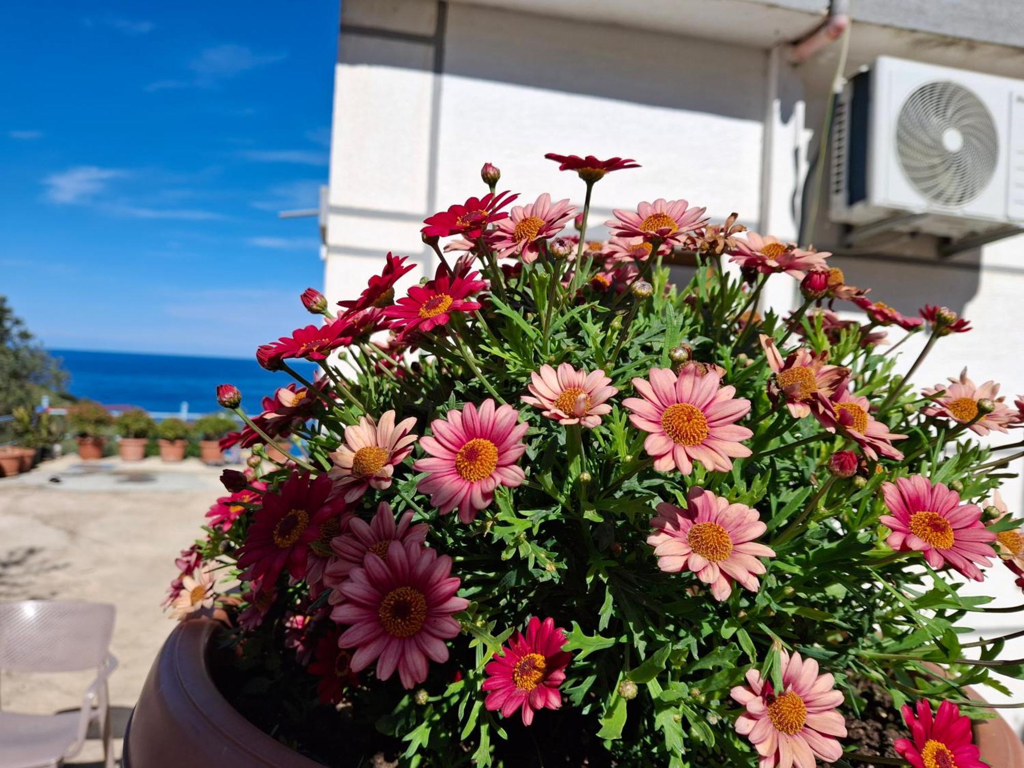Amar Seaside Apartment คซามิล ภายนอก รูปภาพ