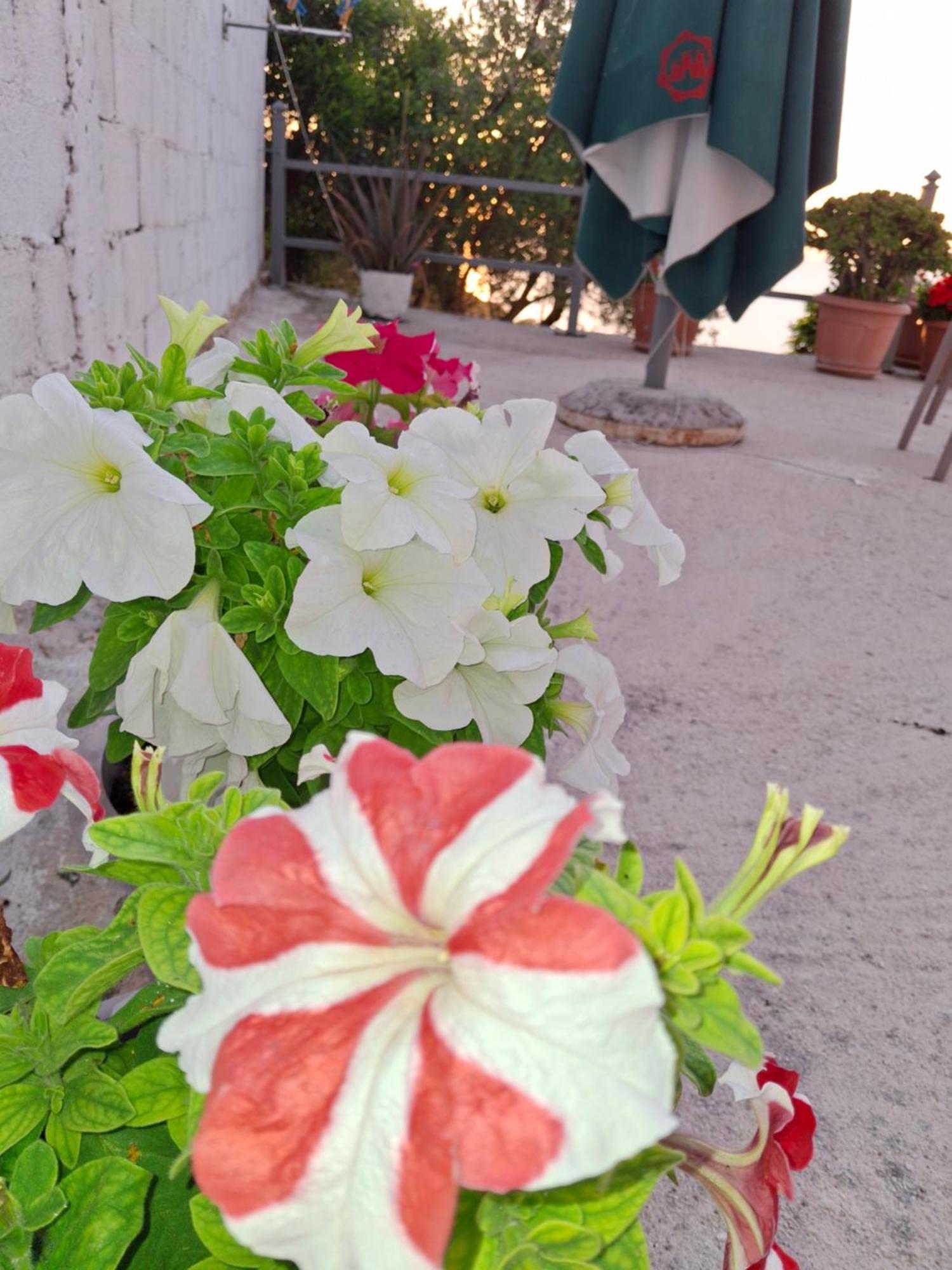 Amar Seaside Apartment คซามิล ภายนอก รูปภาพ